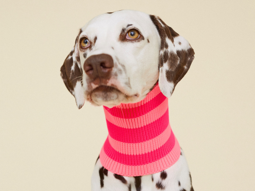 Tour de cou Zelda - Pink Parade