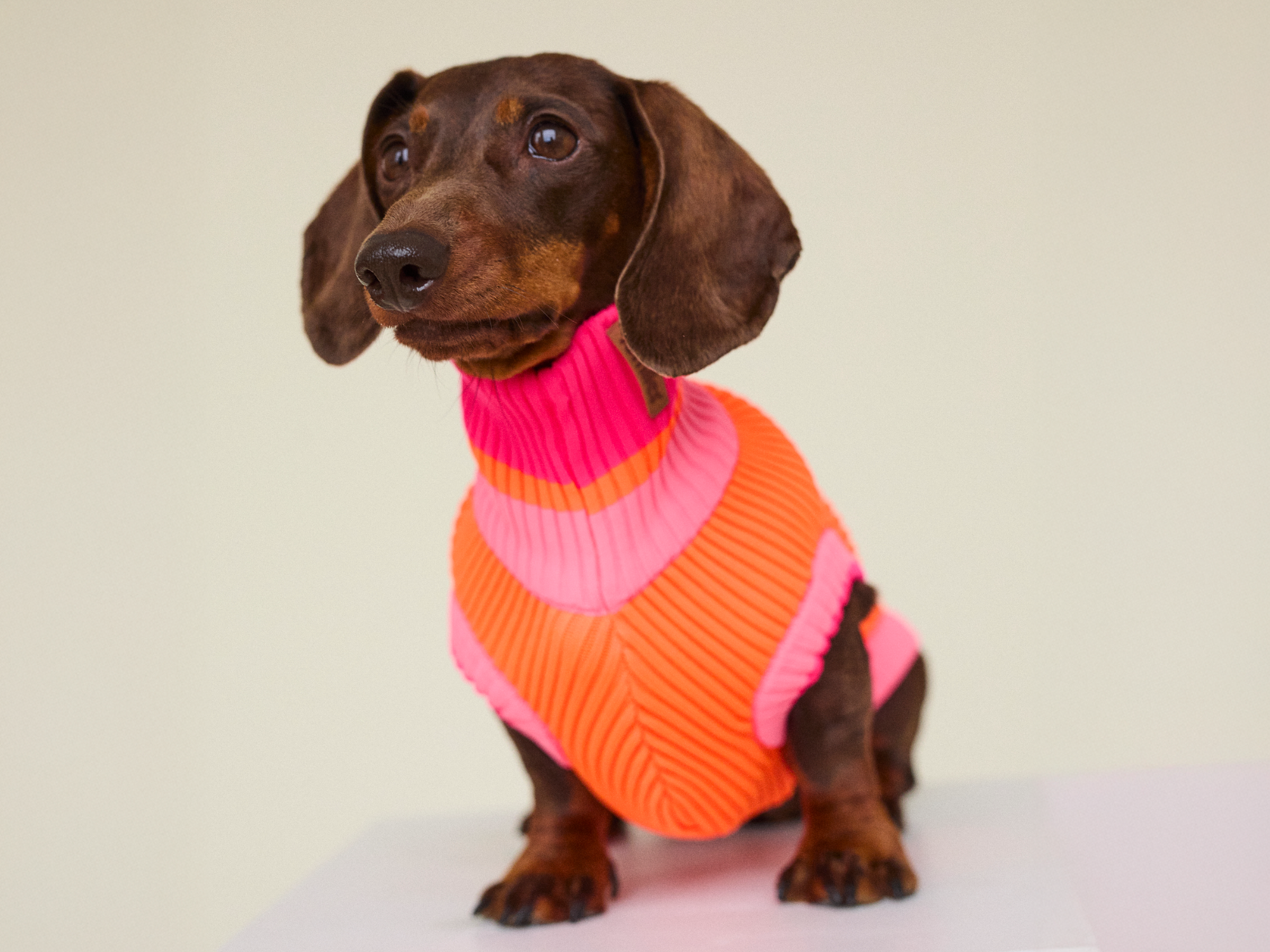 Pull Ginette - Orange