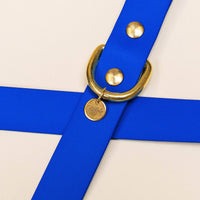 Collier "L'aventurier" - Bleu roi: S : 28-34cm