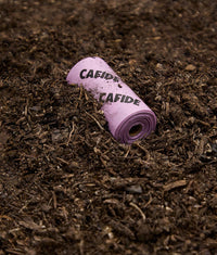 Sacs à Excréments Compostables - Parfum Lavande