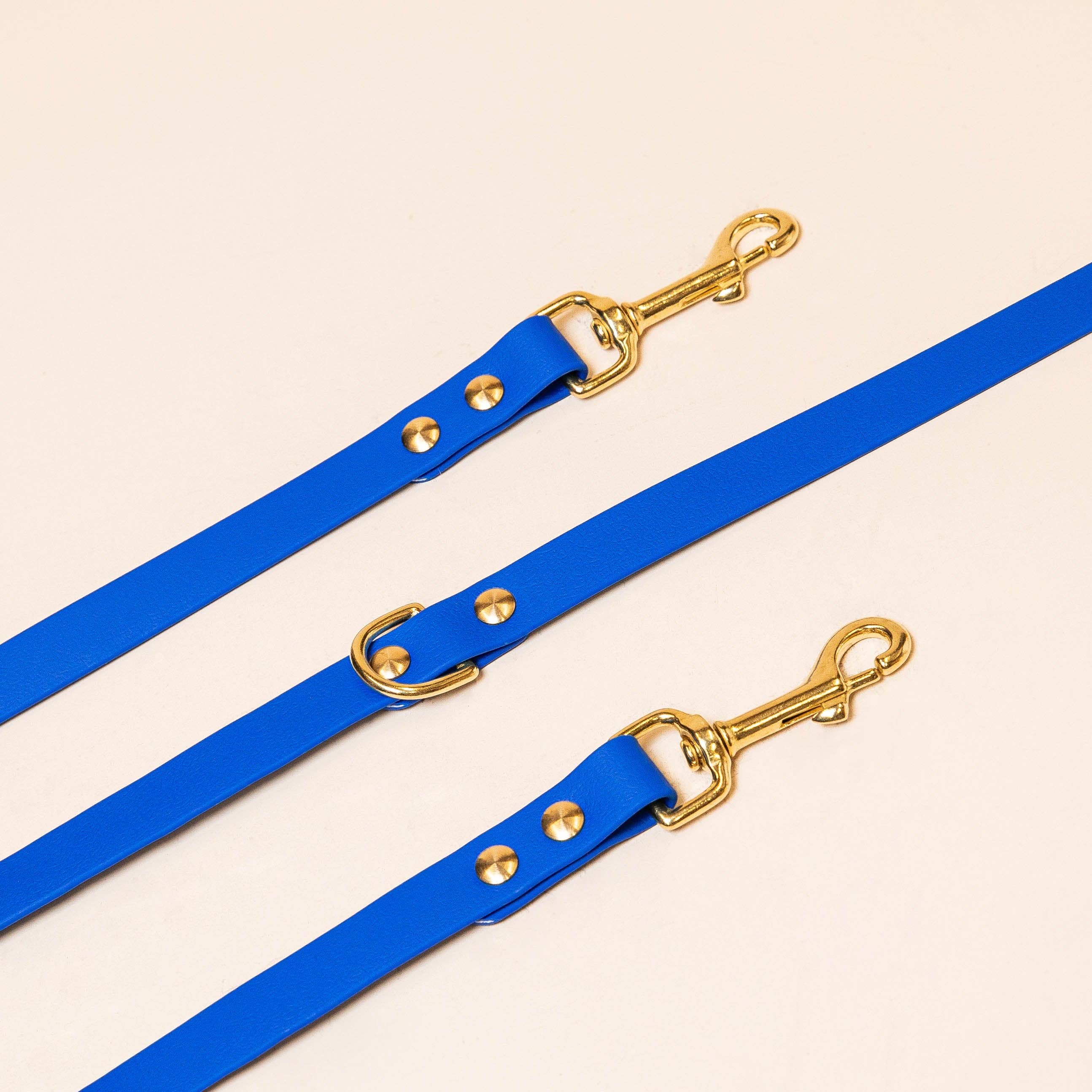 Laisse multi-positions Edgar - Bleu roi