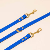 Laisse multi-positions Edgar - Bleu roi