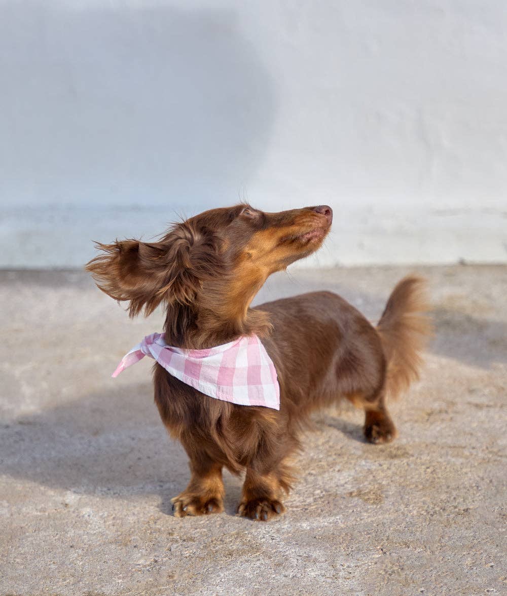 Bandana Martine - Vichy rose