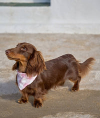 Bandana Martine - Vichy rose