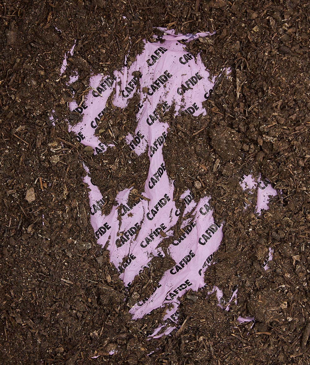 Sacs à Excréments Compostables - Parfum Lavande