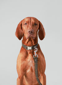 Laisse Watson pour chien - Tweed Tartan Hackett x Hugo & Hudson