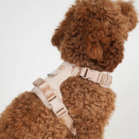 Harnais pour chien Poppy -  Rose clair