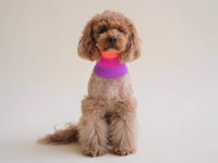 Tour de cou Zelda - Electric Sunset