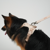 Laisse pour chien Poppy - Rose clair