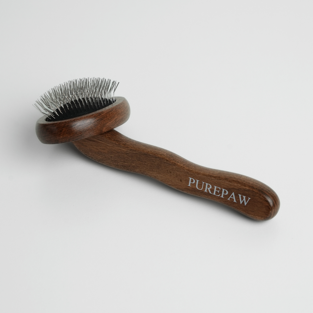 Brosse à Chien