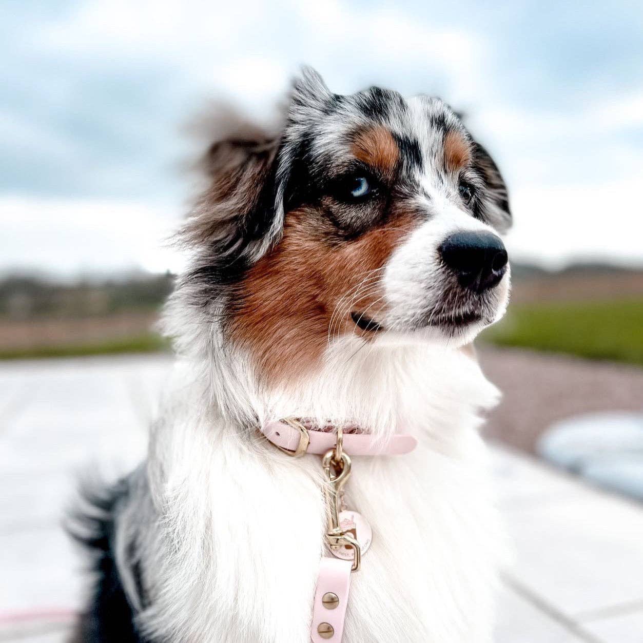 Collier Edgar - Baby rose