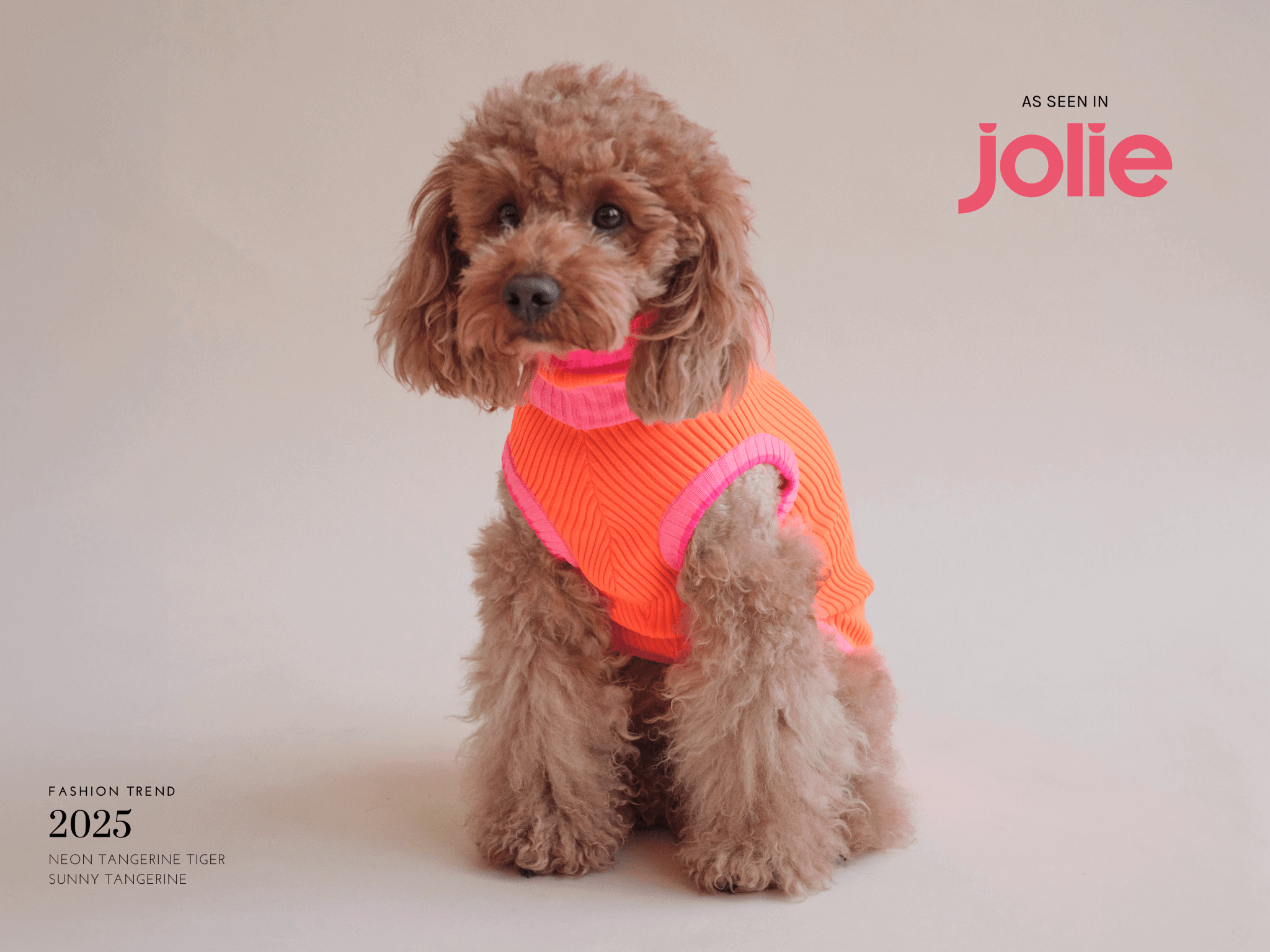 Pull Ginette - Orange