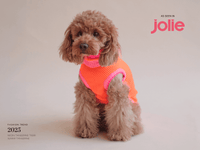 Pull Ginette - Orange