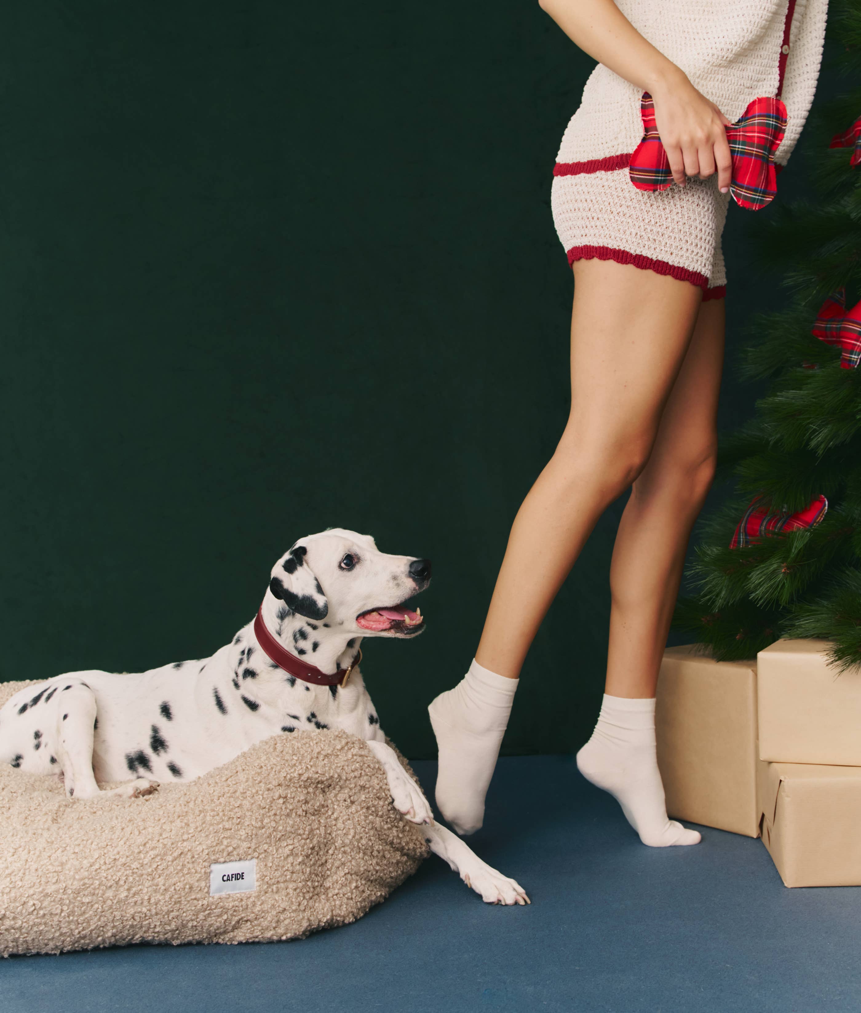 Panier Vicky - Lit pour chien en bouclette beige