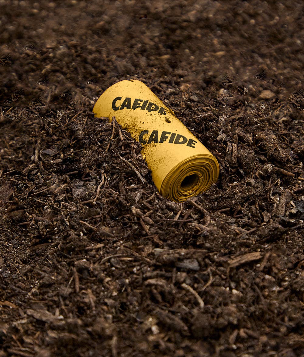 Sacs à Excréments Compostables - Parfum Vanille