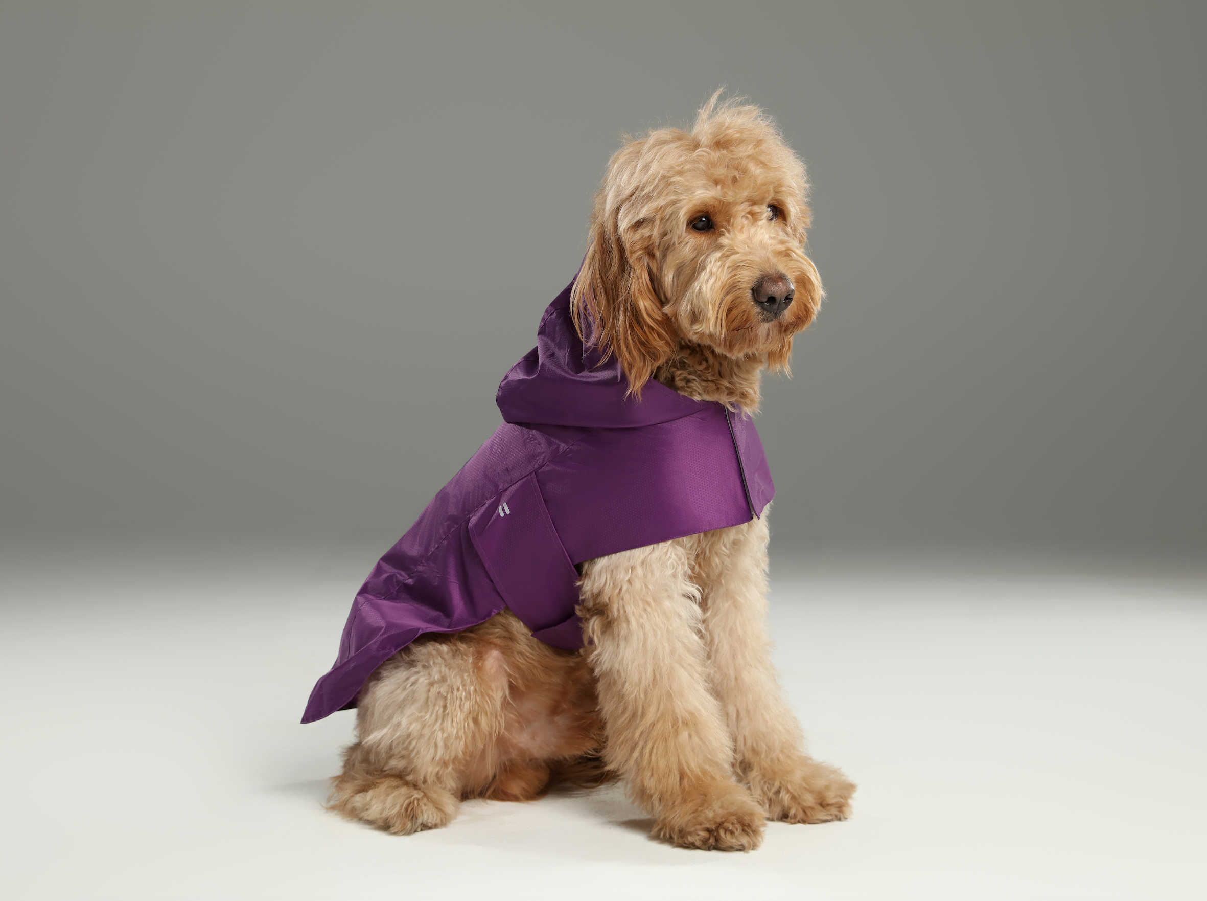 Imperméable de poche Crapule - Violet