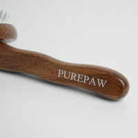 Brosse à Chien