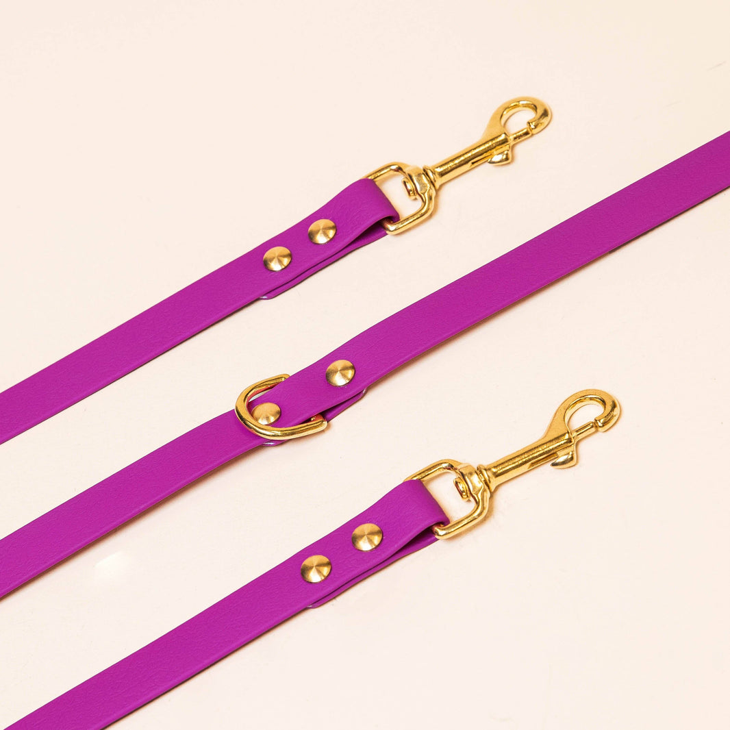 Laisse multi-positions Edgar - Fuchsia