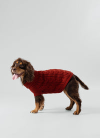 Pull Darling - Torsades Rouge Hackett x Hugo & Hudson