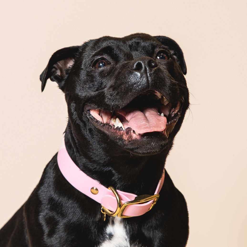 Collier "L'aventurier" - Baby rose: S : 28-34cm