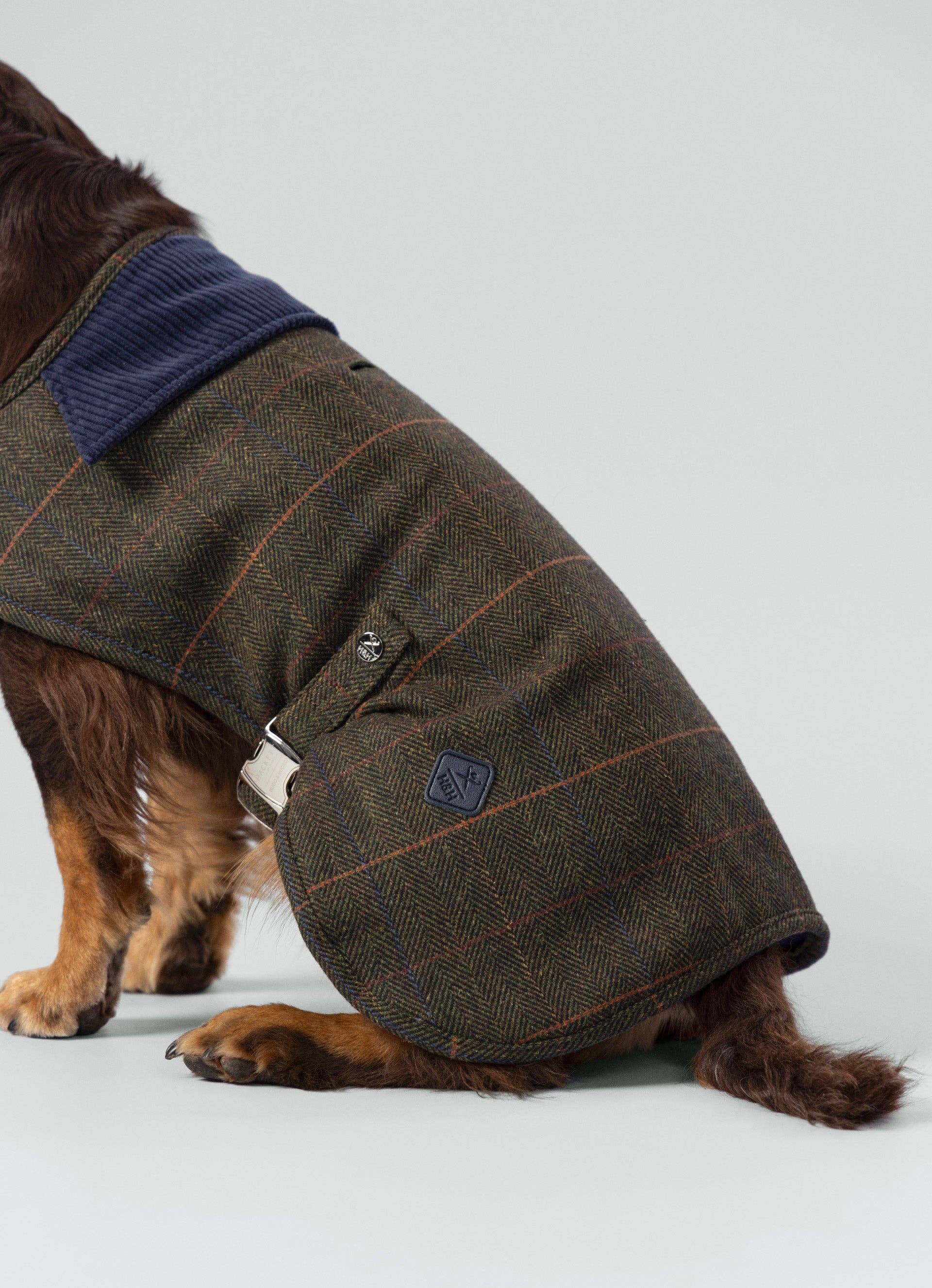 Veste Basilton - Tweed vert foncé à carreaux Hackett x Hugo & Hudson