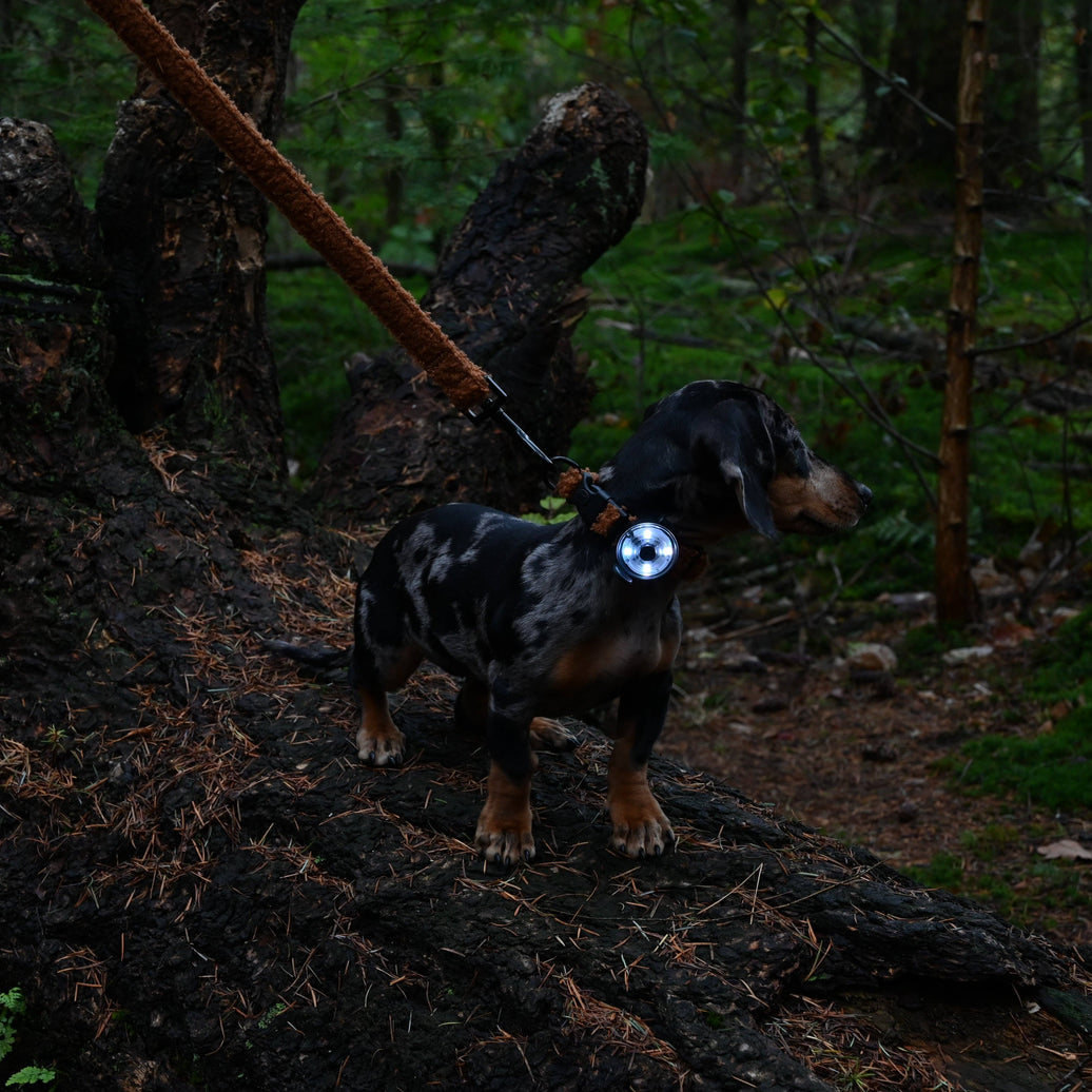 Lampe de collier Alfie