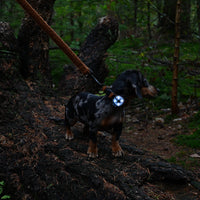 Lampe de collier Alfie