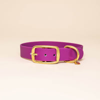 Collier Chien Edgar - Fuchsia
