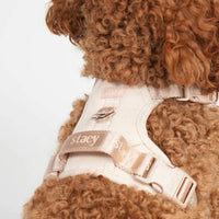 Harnais pour chien Poppy -  Rose clair