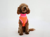 Pull Ginette - Orange
