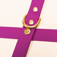 Collier Chien Edgar - Fuchsia