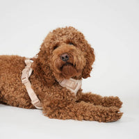 Harnais pour chien Poppy -  Rose clair