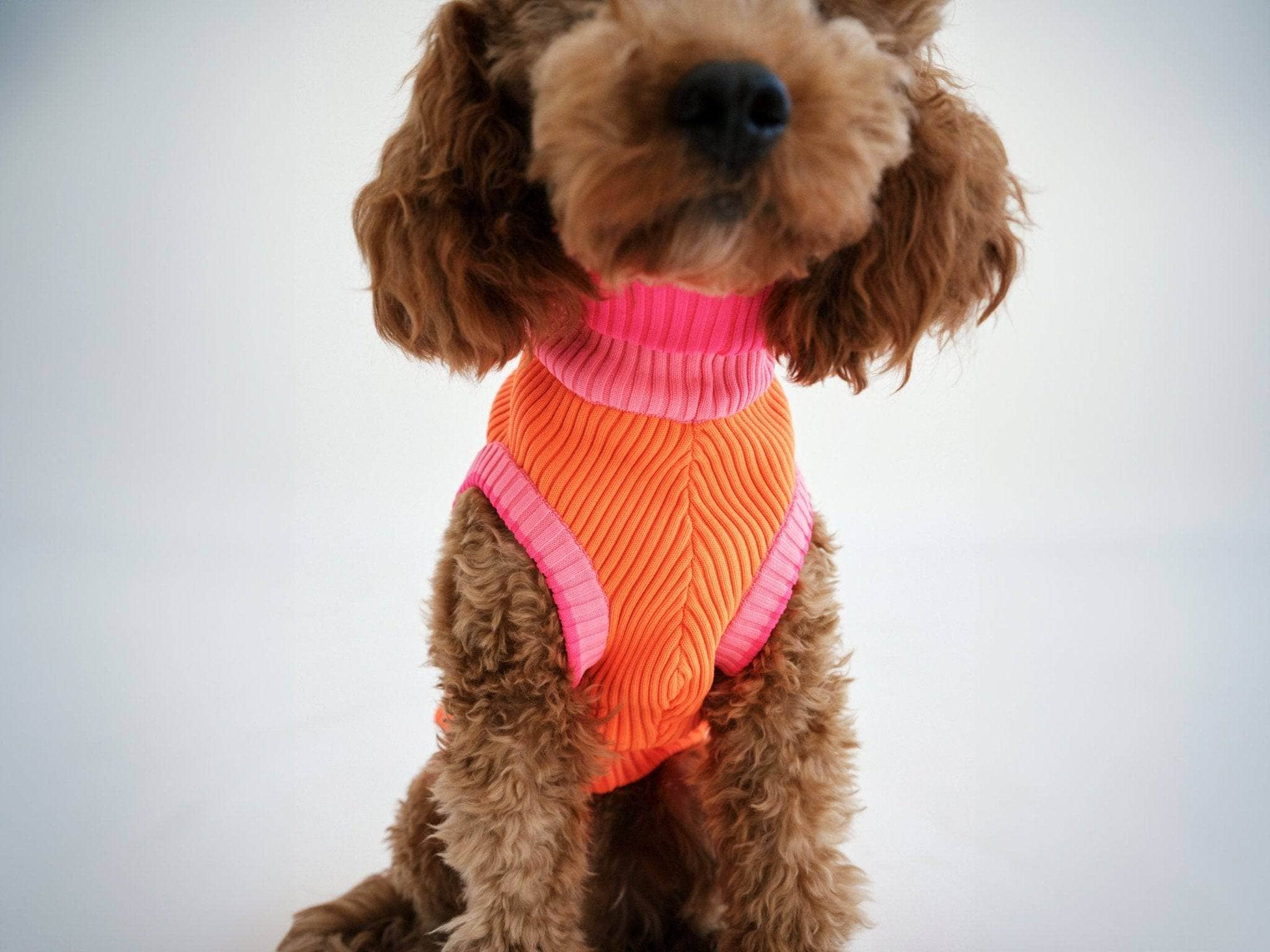 Pull Ginette - Orange