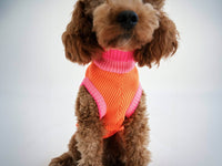 Pull Ginette - Orange