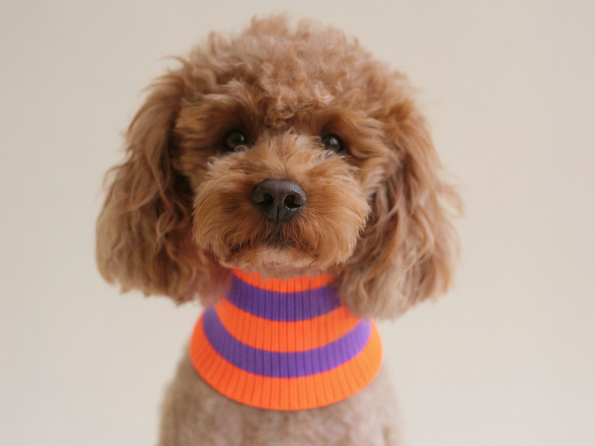 Tour de cou Zelda - Pavot Lavande