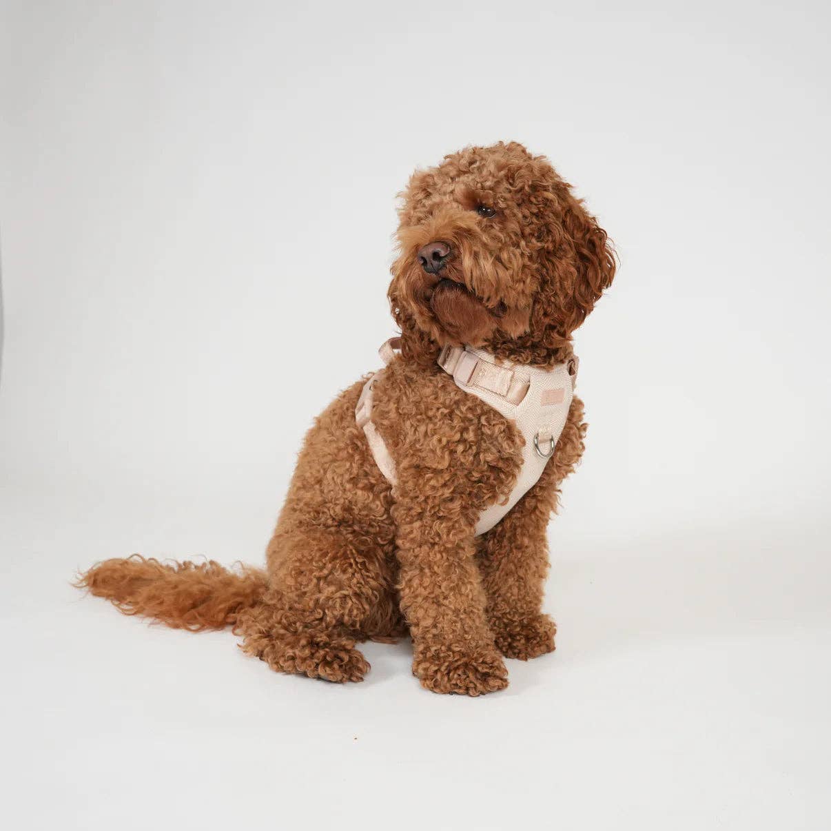 Harnais pour chien Poppy -  Rose clair