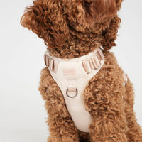 Harnais pour chien Poppy -  Rose clair
