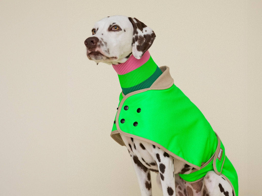 Manteau de pluie Maya - Gecko vert néon